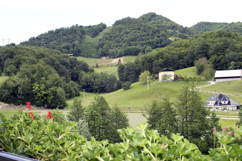 Tourist Farm Mraz Villa Podcetrtek Exterior photo